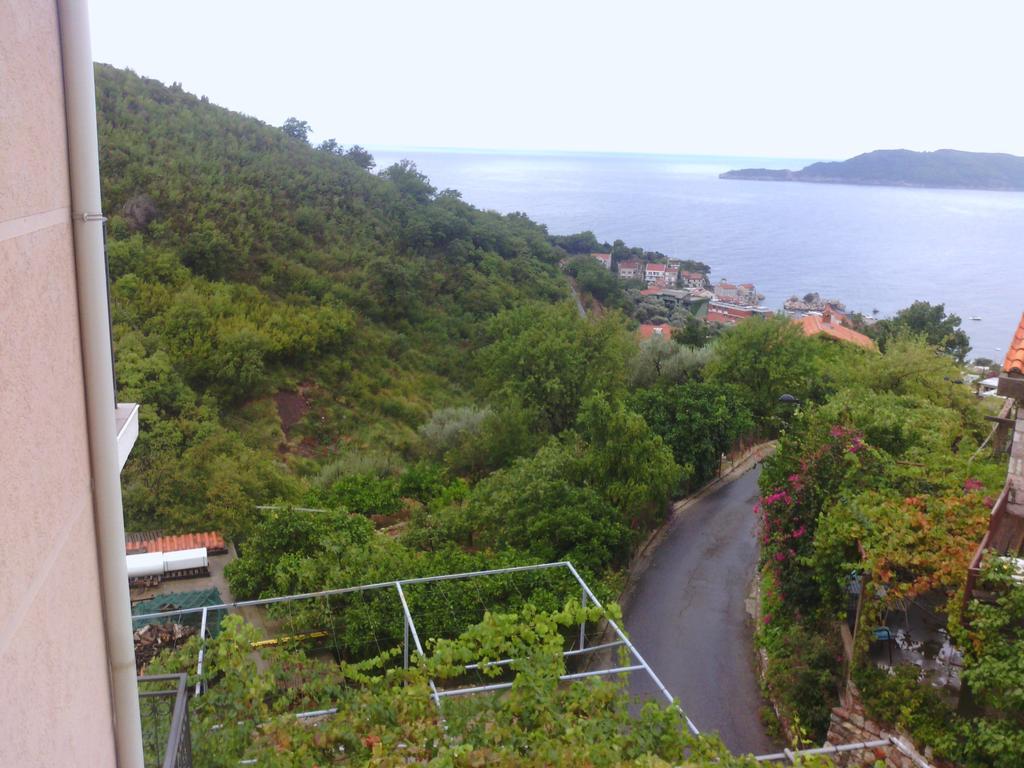 Apartments Mitrovic Podlicak Sveti Stefan Pokoj fotografie